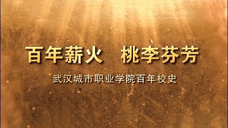 教育行业宣传片《武汉城市职业学院》